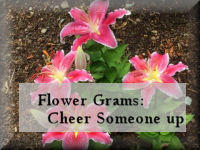 Flower Gram